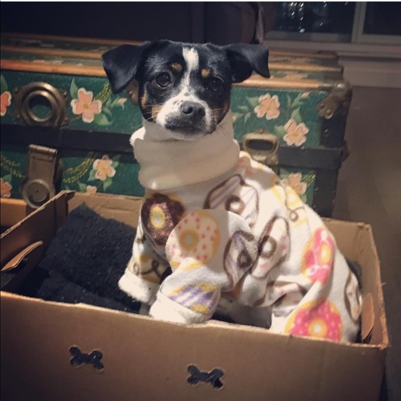 *SOLD* Doggy pjs - Picture 1 of 3